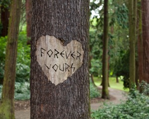 Forever yours 